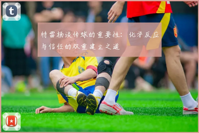 特雷杨谈传球的重要性：化学反应与信任的双重建立之道