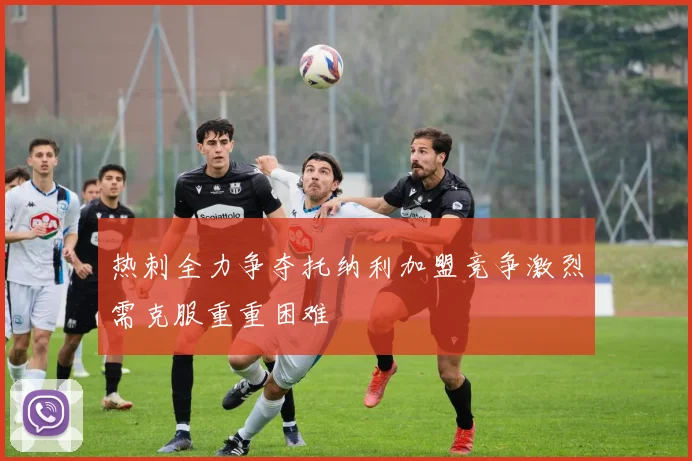 热刺全力争夺托纳利加盟竞争激烈需克服重重困难